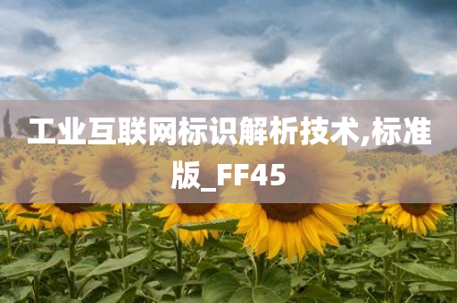 工业互联网标识解析技术,标准版_FF45