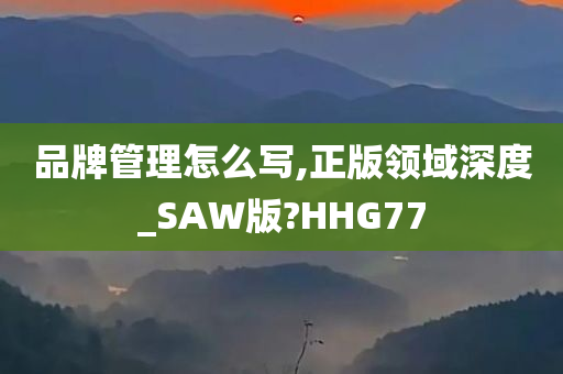 品牌管理怎么写,正版领域深度_SAW版?HHG77