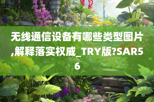 无线通信设备有哪些类型图片,解释落实权威_TRY版?SAR56