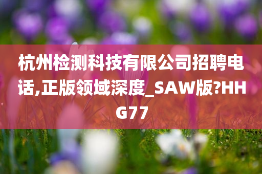 杭州检测科技有限公司招聘电话,正版领域深度_SAW版?HHG77