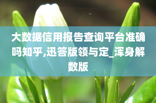 大数据信用报告查询平台准确吗知乎,迅答版领与定_浑身解数版