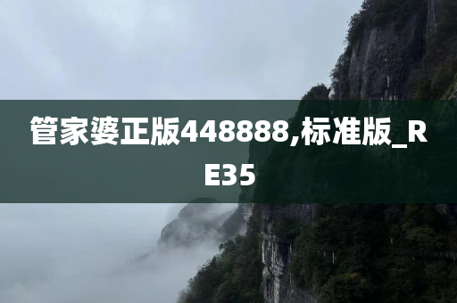 管家婆正版448888,标准版_RE35