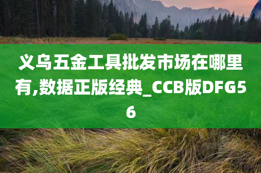 义乌五金工具批发市场在哪里有,数据正版经典_CCB版DFG56