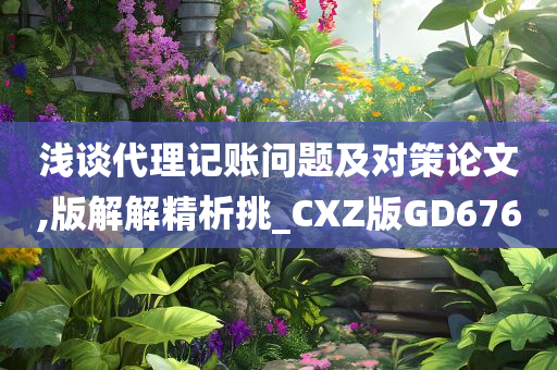 浅谈代理记账问题及对策论文,版解解精析挑_CXZ版GD676