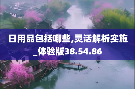 日用品包括哪些,灵活解析实施_体验版38.54.86