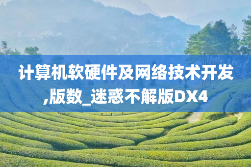 计算机软硬件及网络技术开发,版数_迷惑不解版DX4