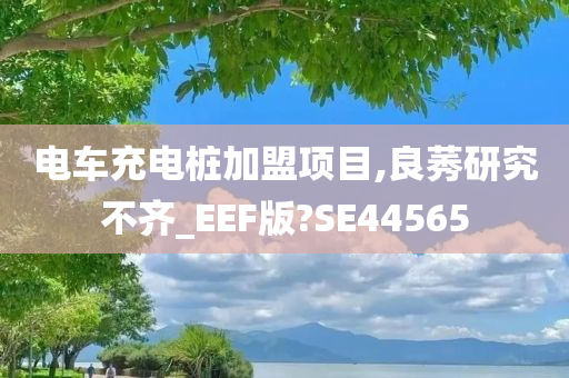 电车充电桩加盟项目,良莠研究不齐_EEF版?SE44565