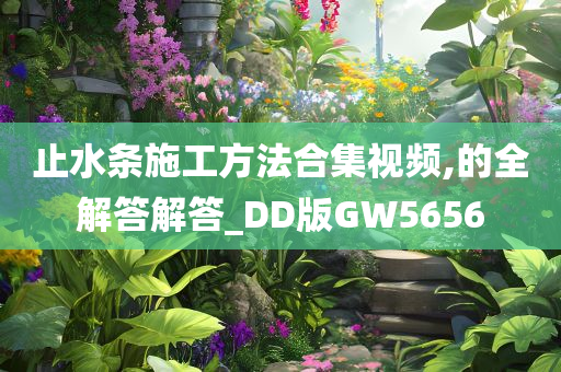 止水条施工方法合集视频,的全解答解答_DD版GW5656