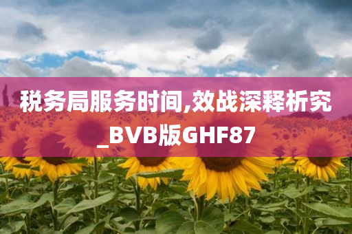 税务局服务时间,效战深释析究_BVB版GHF87