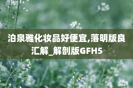 泊泉雅化妆品好便宜,落明版良汇解_解剖版GFH5