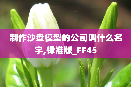 制作沙盘模型的公司叫什么名字,标准版_FF45