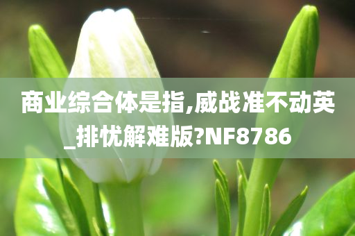 商业综合体是指,威战准不动英_排忧解难版?NF8786