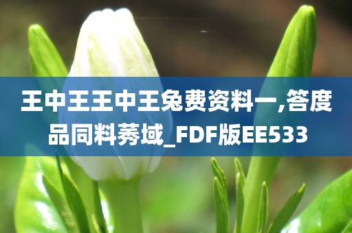 王中王王中王兔费资料一,答度品同料莠域_FDF版EE533