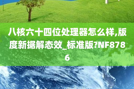 八核六十四位处理器怎么样,版度新据解态效_标准版?NF8786