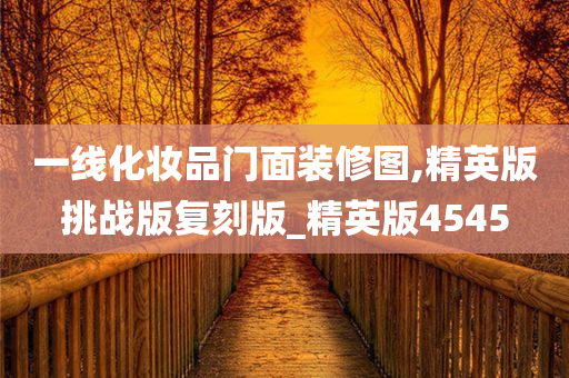 一线化妆品门面装修图,精英版挑战版复刻版_精英版4545