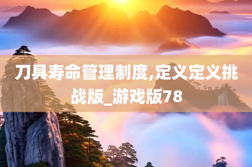 刀具寿命管理制度,定义定义挑战版_游戏版78