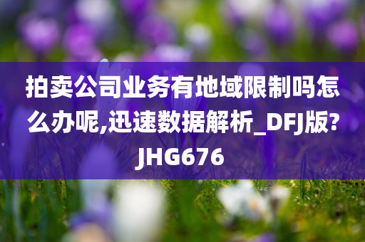 拍卖公司业务有地域限制吗怎么办呢,迅速数据解析_DFJ版?JHG676