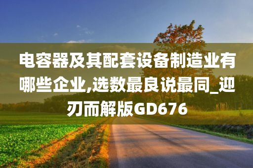 电容器及其配套设备制造业有哪些企业,选数最良说最同_迎刃而解版GD676