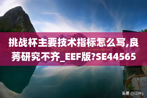 挑战杯主要技术指标怎么写,良莠研究不齐_EEF版?SE44565