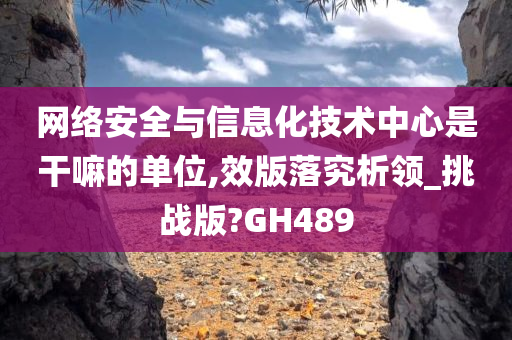 网络安全与信息化技术中心是干嘛的单位,效版落究析领_挑战版?GH489