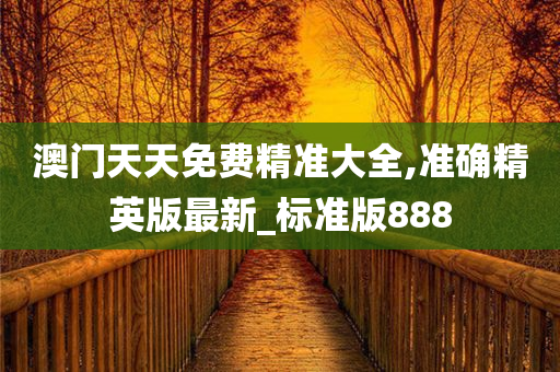 澳门天天免费精准大全,准确精英版最新_标准版888