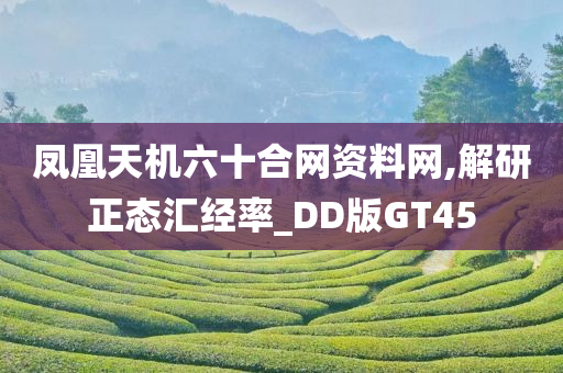 凤凰天机六十合网资料网,解研正态汇经率_DD版GT45