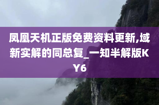 凤凰天机正版免费资料更新,域新实解的同总复_一知半解版KY6