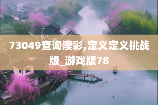 73049查询澳彩,定义定义挑战版_游戏版78