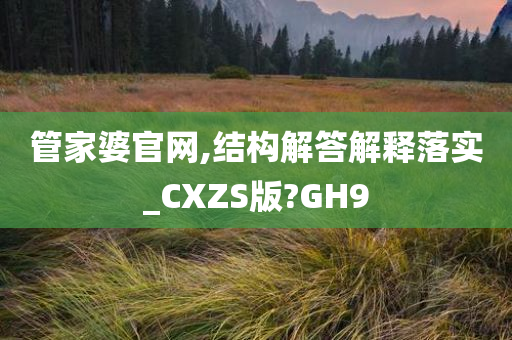 管家婆官网,结构解答解释落实_CXZS版?GH9