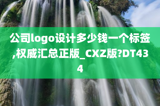 公司logo设计多少钱一个标签,权威汇总正版_CXZ版?DT434