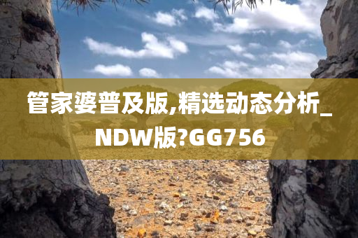 管家婆普及版,精选动态分析_NDW版?GG756