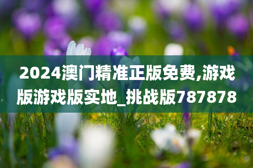 2024澳门精准正版免费,游戏版游戏版实地_挑战版787878