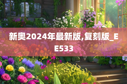 新奥2024年最新版,复刻版_EE533