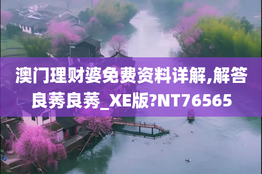 澳门理财婆免费资料详解,解答良莠良莠_XE版?NT76565