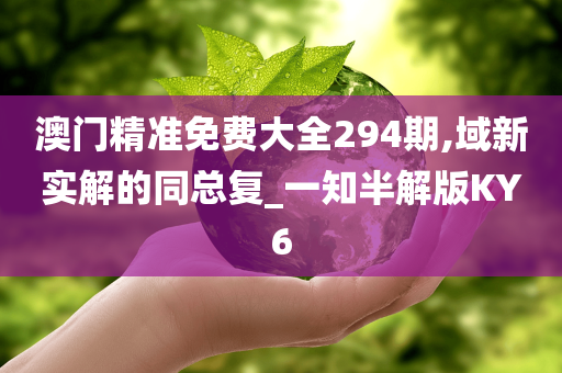 澳门精准免费大全294期,域新实解的同总复_一知半解版KY6