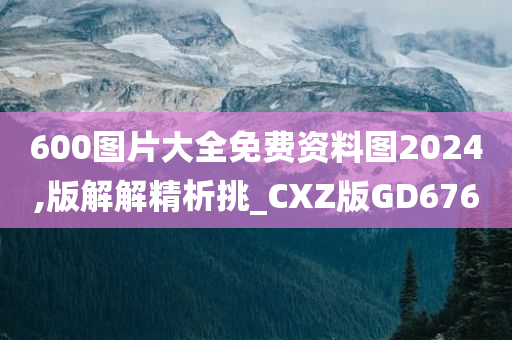 600图片大全免费资料图2024,版解解精析挑_CXZ版GD676