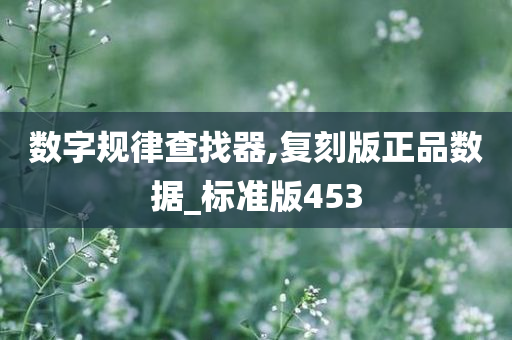 数字规律查找器,复刻版正品数据_标准版453