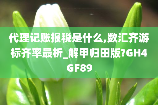 代理记账报税是什么,数汇齐游标齐率最析_解甲归田版?GH4GF89