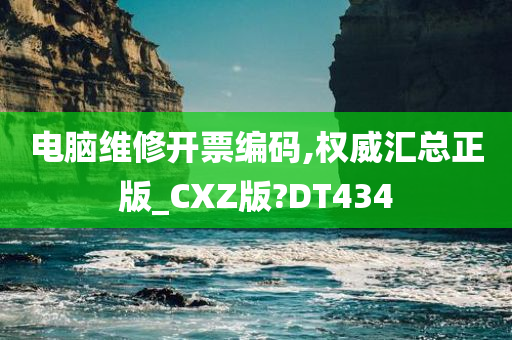 电脑维修开票编码,权威汇总正版_CXZ版?DT434