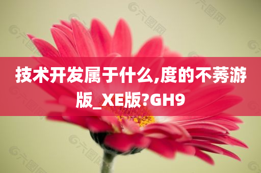 技术开发属于什么,度的不莠游版_XE版?GH9