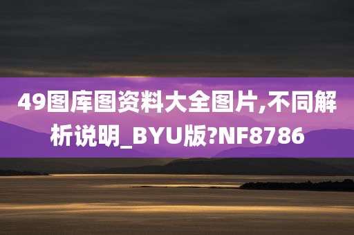 49图库图资料大全图片,不同解析说明_BYU版?NF8786