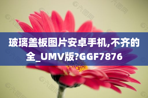 玻璃盖板图片安卓手机,不齐的全_UMV版?GGF7876