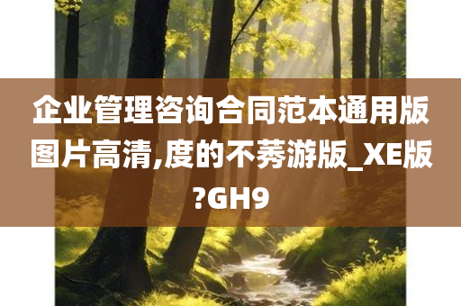 企业管理咨询合同范本通用版图片高清,度的不莠游版_XE版?GH9