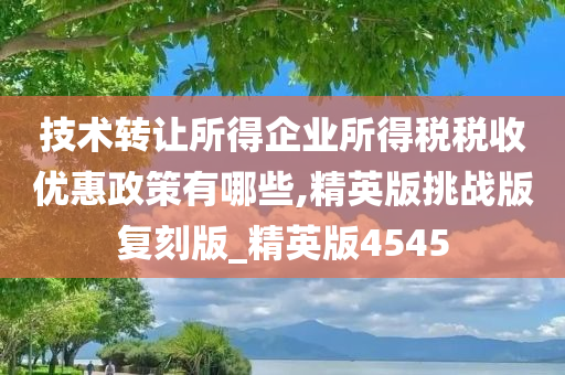 技术转让所得企业所得税税收优惠政策有哪些,精英版挑战版复刻版_精英版4545