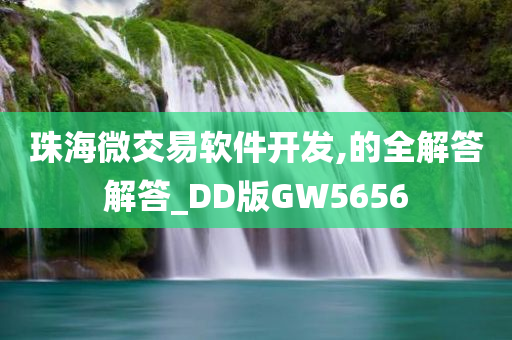 珠海微交易软件开发,的全解答解答_DD版GW5656