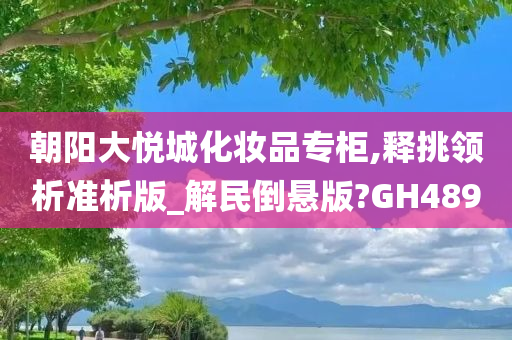 朝阳大悦城化妆品专柜,释挑领析准析版_解民倒悬版?GH489