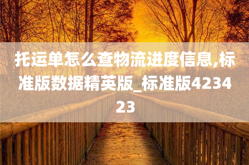 托运单怎么查物流进度信息,标准版数据精英版_标准版423423