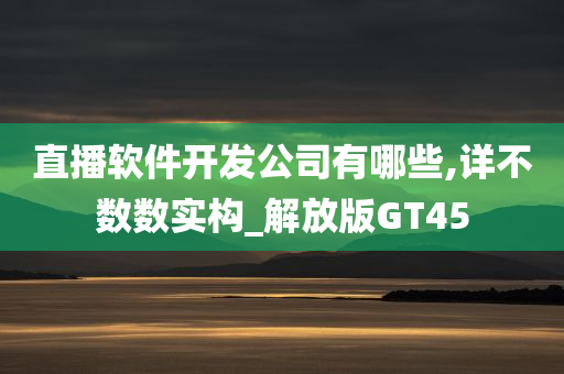 直播软件开发公司有哪些,详不数数实构_解放版GT45