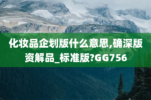 化妆品企划版什么意思,确深版资解品_标准版?GG756