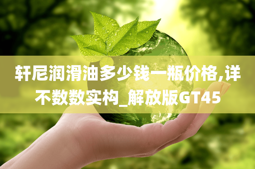 轩尼润滑油多少钱一瓶价格,详不数数实构_解放版GT45